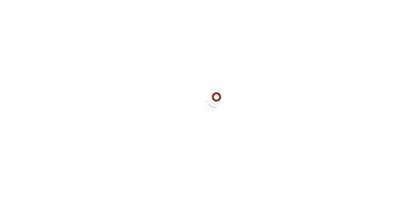 logo-alain-mesny-energeticien-magnetiseur-bourges-blanc